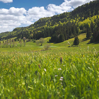 Arkadien - Mountainbike - n°94