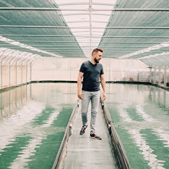 Les Bassins Fermiers - FONTAIN