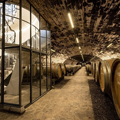 Süße Masterclass & Weine der Domaine de la Pinte