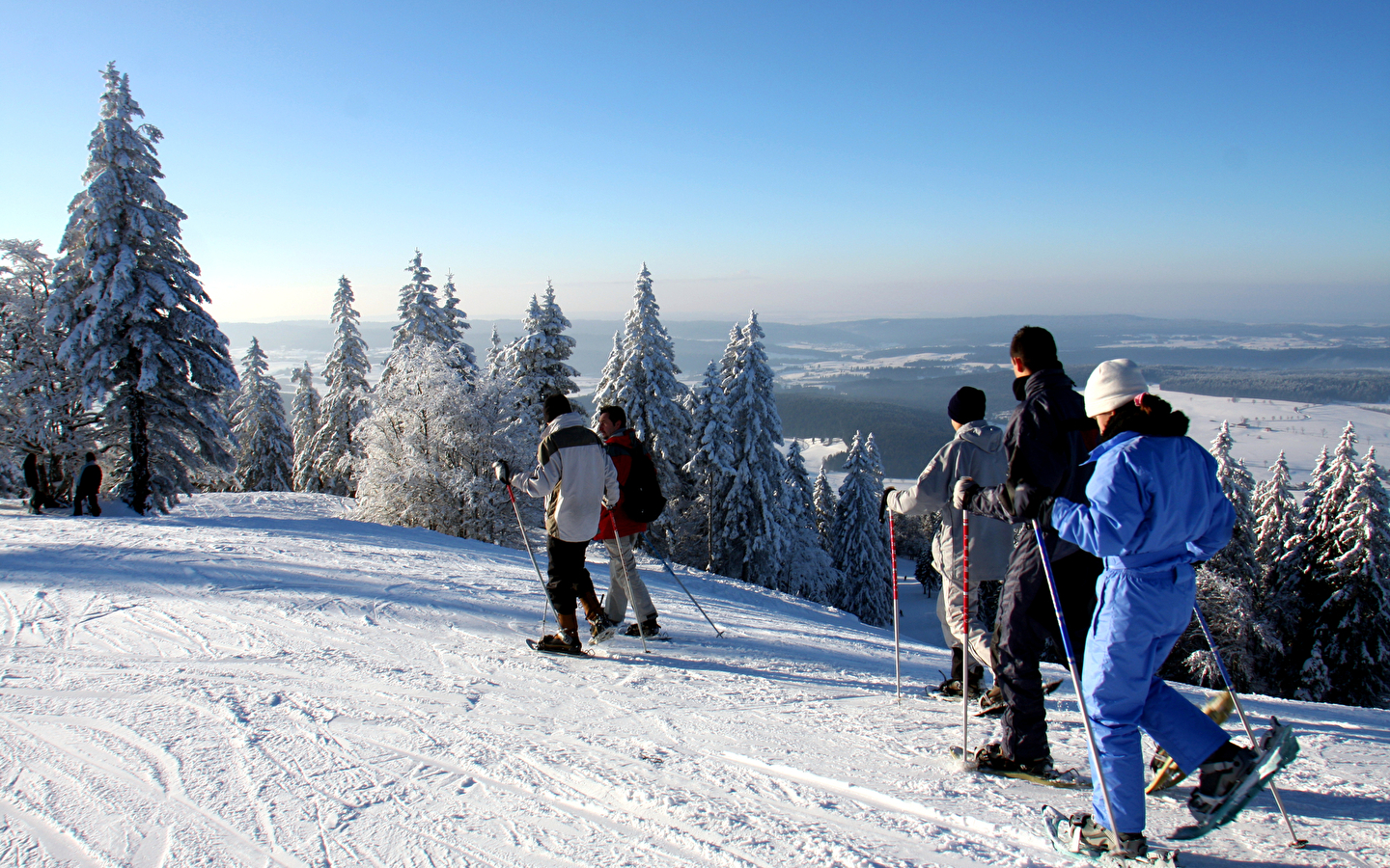 Schneeschuhwanderung für Familien: Der Wald in all seinen Zuständen
