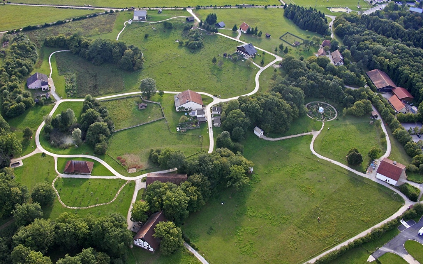 Eichenpfad Präsident