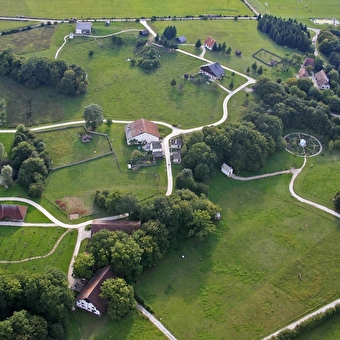 Eichenpfad Präsident - NANCRAY