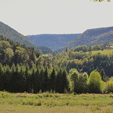 Mauer-Steinmauer(n)