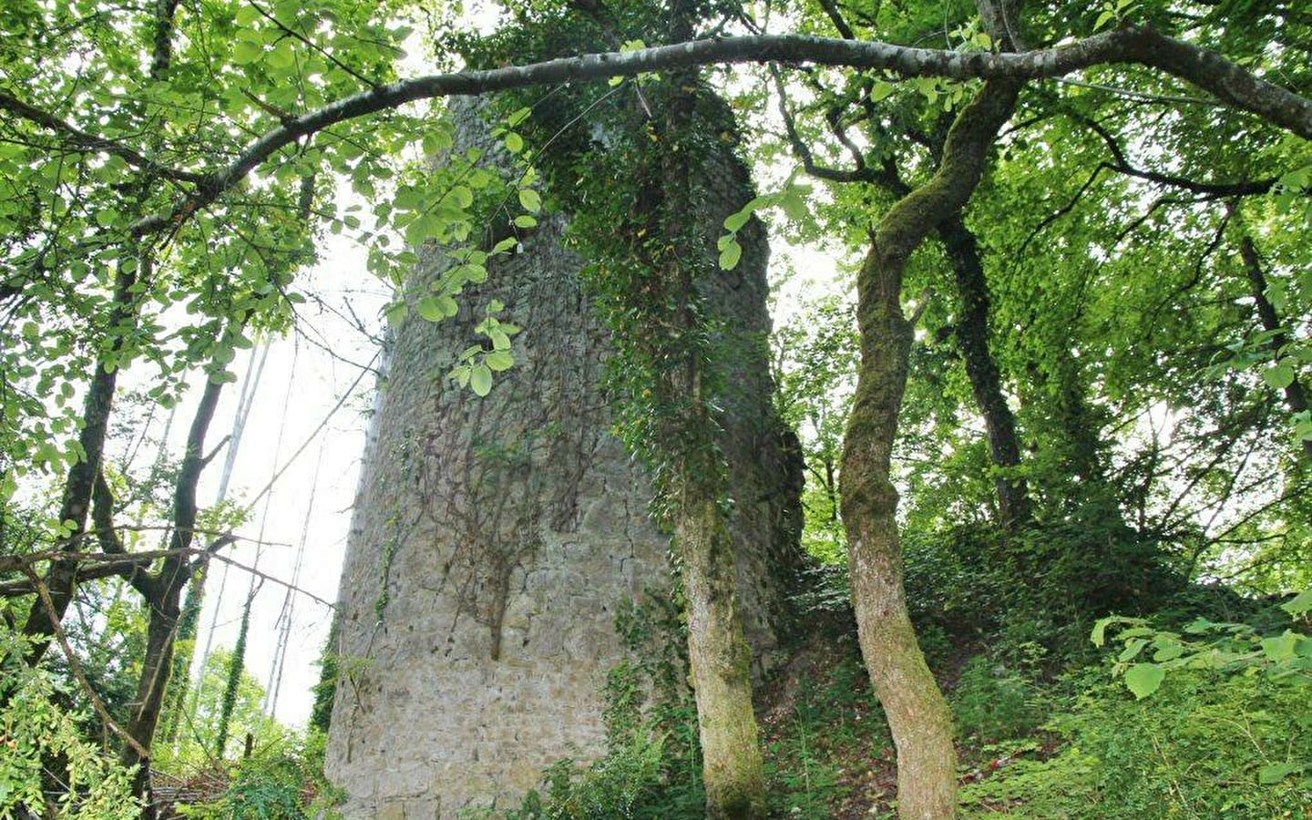 Point de vue des ruines de Montdidier