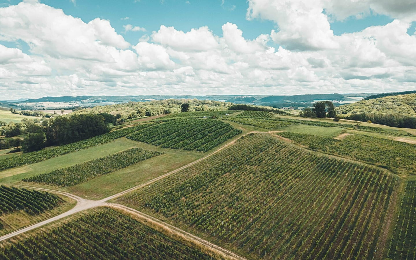 Domaine Laura Bourdy