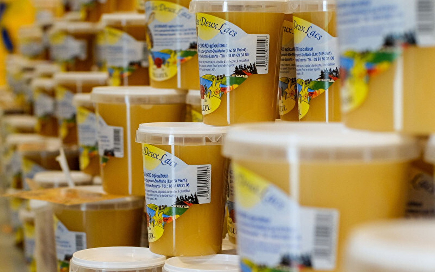 Geführte Besichtigung des Bienenhauses 'Rucher des 2 Lacs