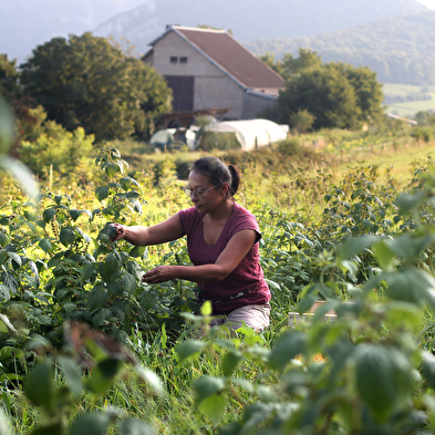 Besuch einer Bio-Obstfarm - Le Champ des Gourmands