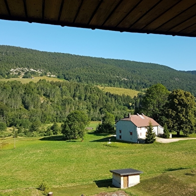 Le crêt de la Neige - L'Olivine