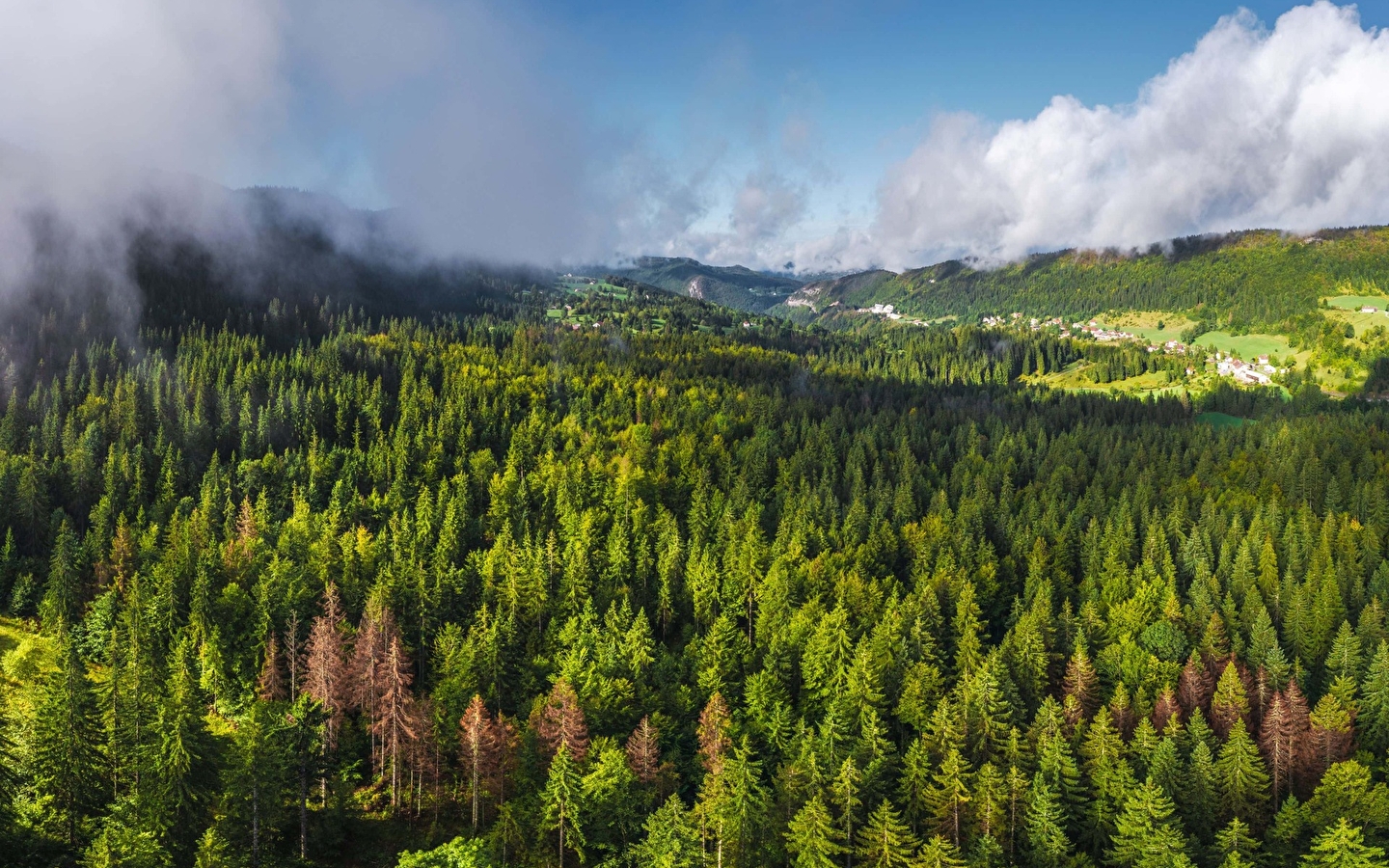 Die Tour des Know-hows - Fahrradschleife 07