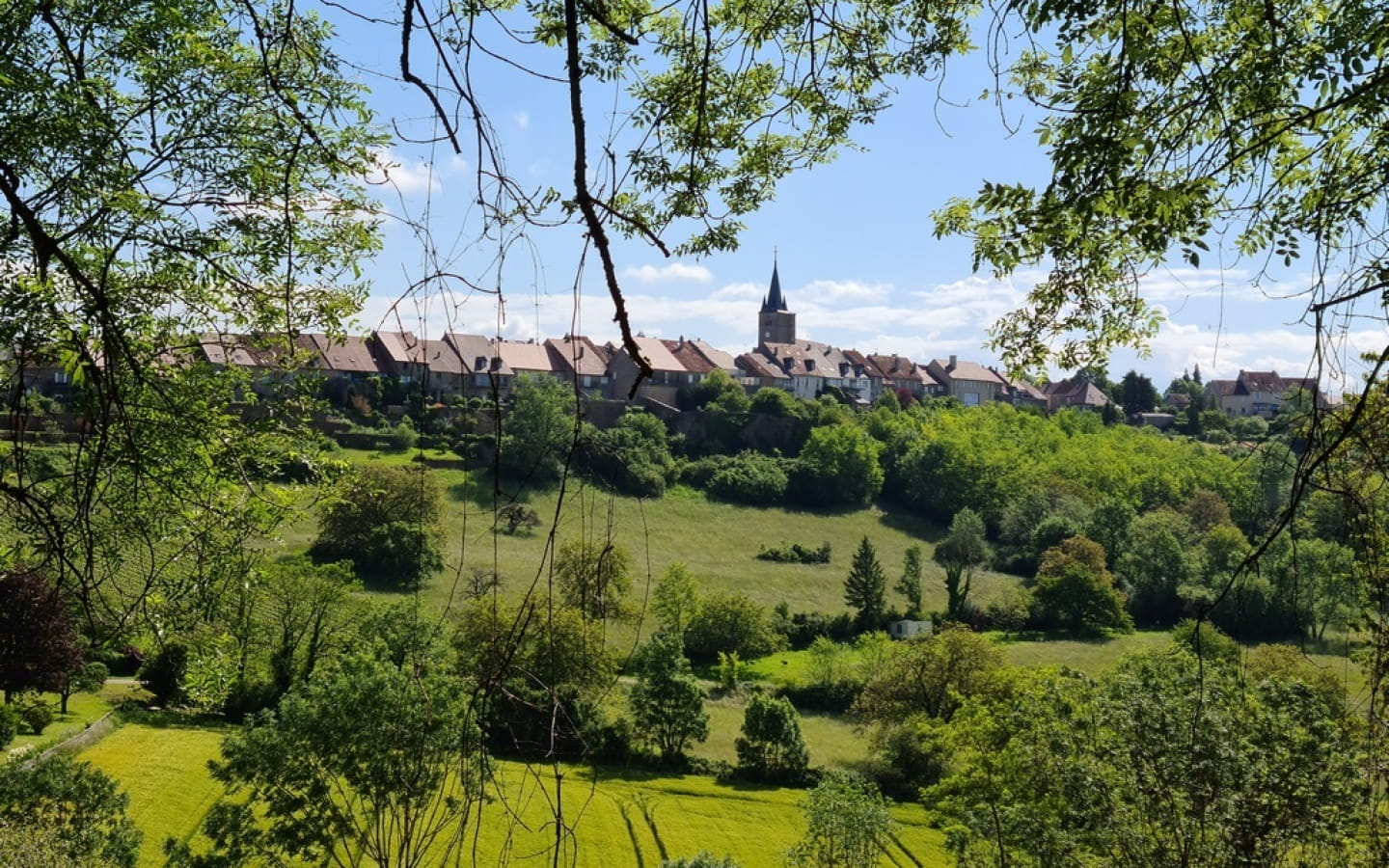 Spaziergang und Weinprobe in den Weinbergen