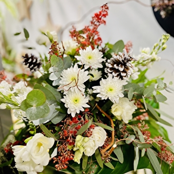 Café-fleurs Pom'Violette - GEX