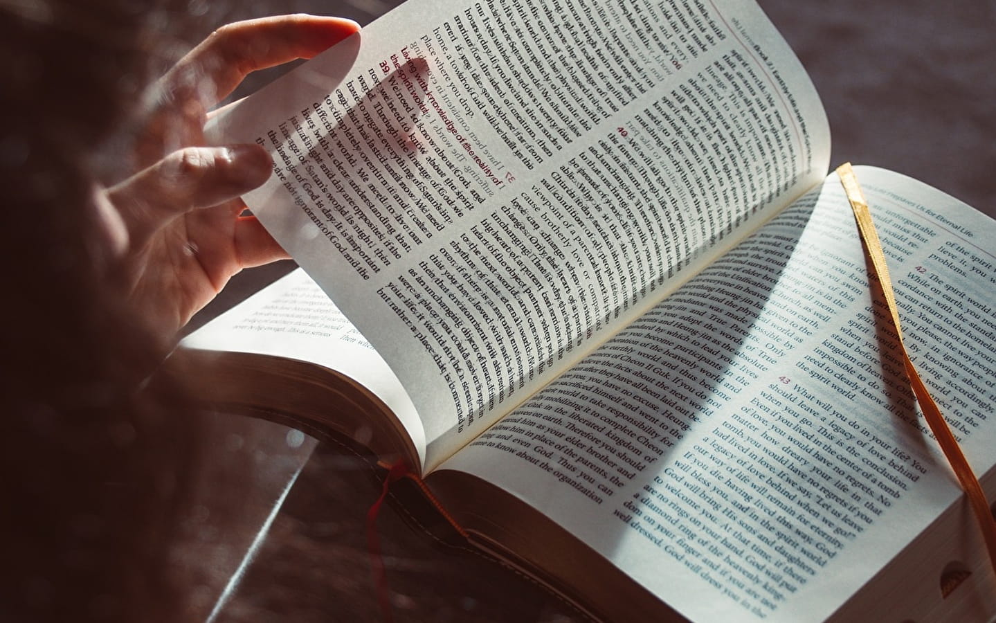 Lesenacht in der Mediathek