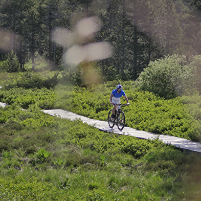 Wander-/Wellnessaufenthalt im Herbst