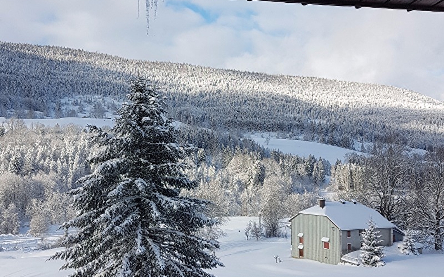 Le crêt de la Neige - L'Olivine