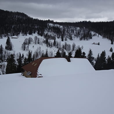 Piste de ski de fond : Jonction la Vattay - Mijoux