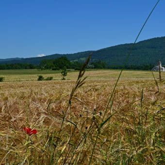 Schleife 17: Suran-Tal - VAL SURAN