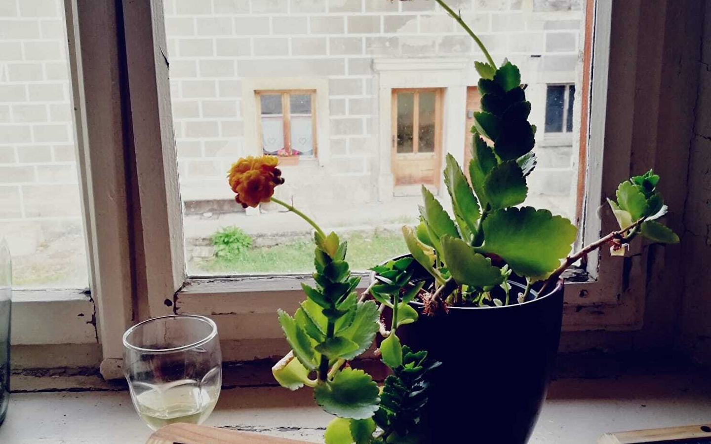 Einführung in den Oberton- und Diphoniegesang