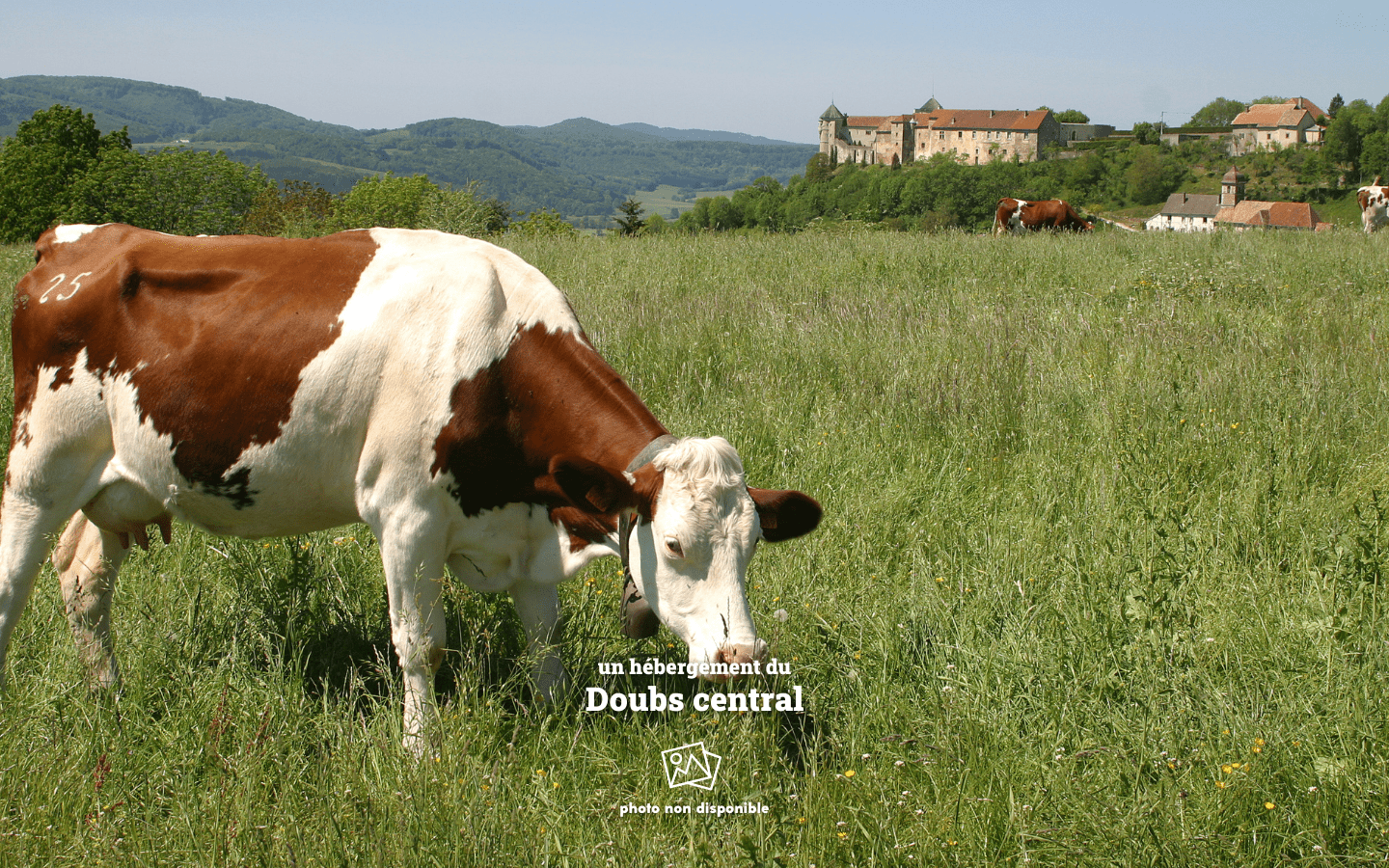 Au Doubs Tallans