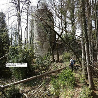 Point de vue des ruines de Montdidier