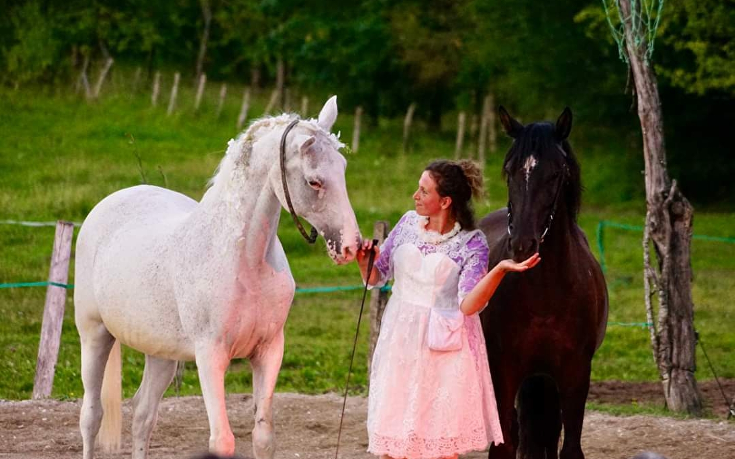 Lucie et les chevaux