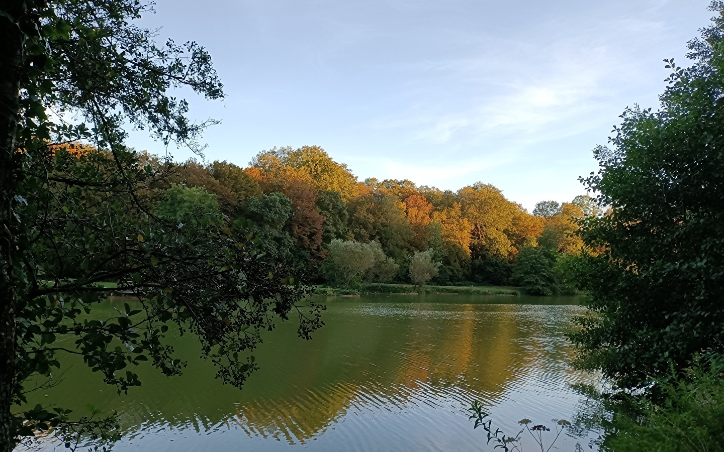 Rundgang durch die Prinzenweiher