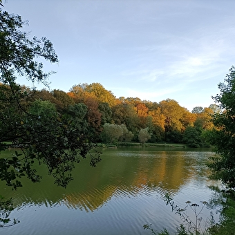 Rundgang durch die Prinzenweiher - SAINT-JULIEN-LES-MONTBELIARD
