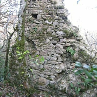 Maison forte de Lomont
