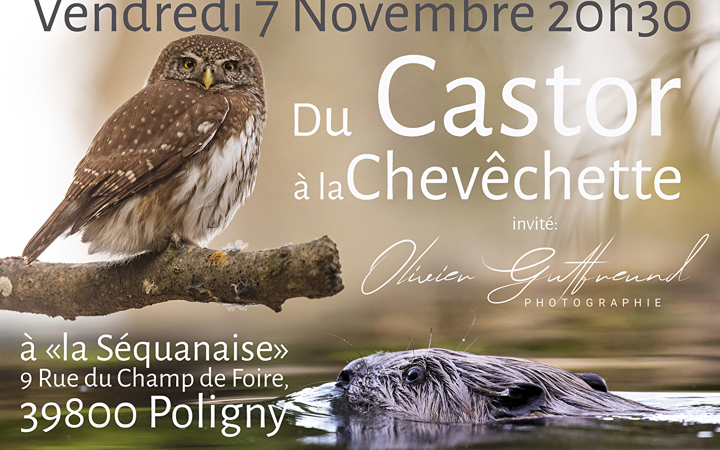 Vom Biber zum Steinkauz