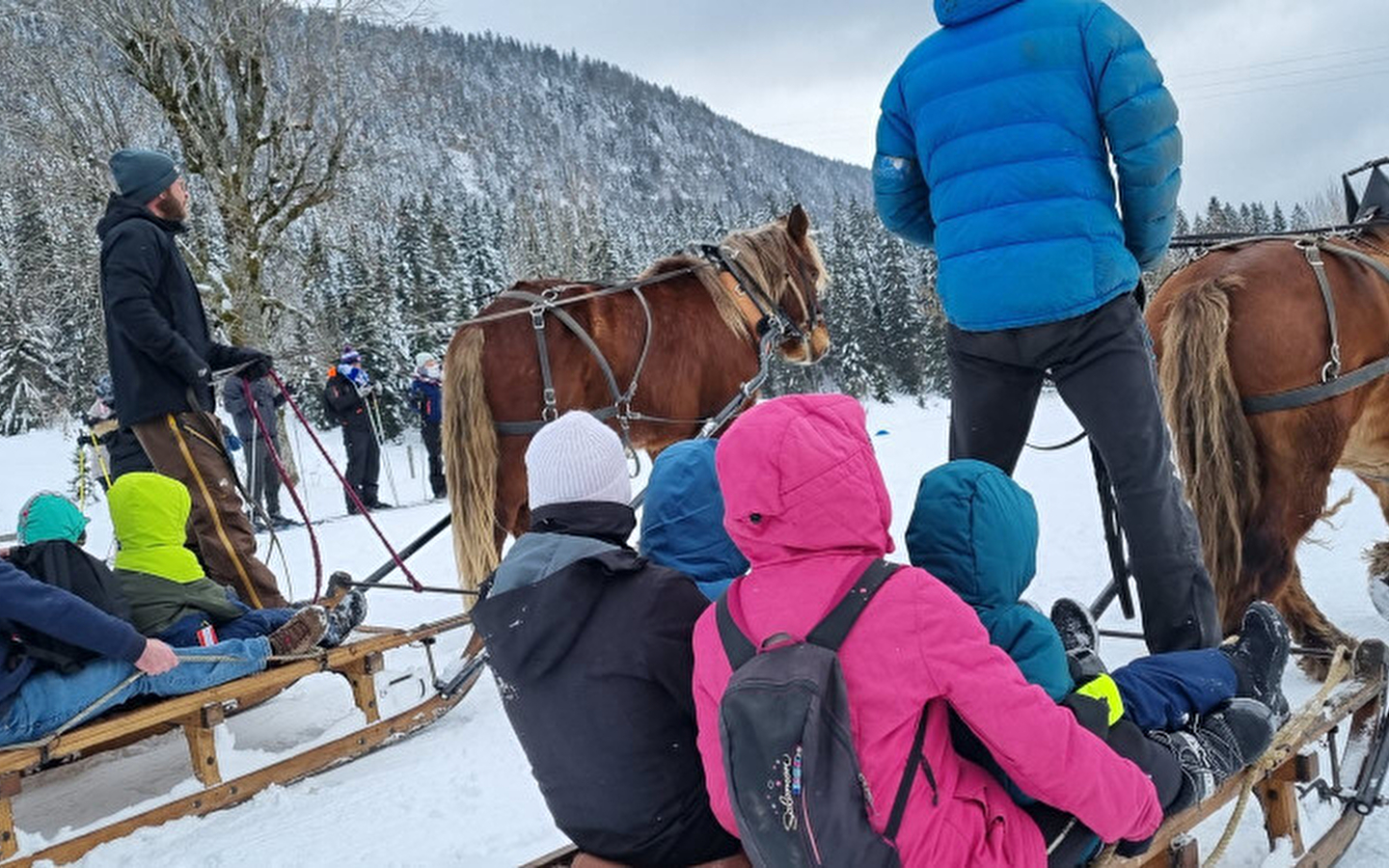 Luge attelée / ou Balade en calèche