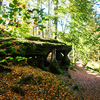 Der Werwolf - MOISSEY