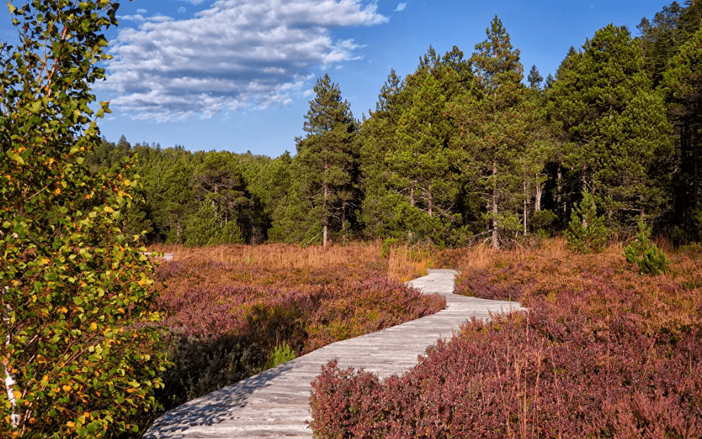 Wander-/Wellnessaufenthalt im Herbst