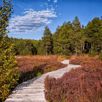 Wander-/Wellnessaufenthalt im Herbst -