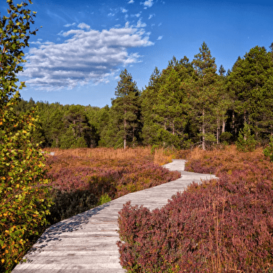 Wander-/Wellnessaufenthalt im Herbst