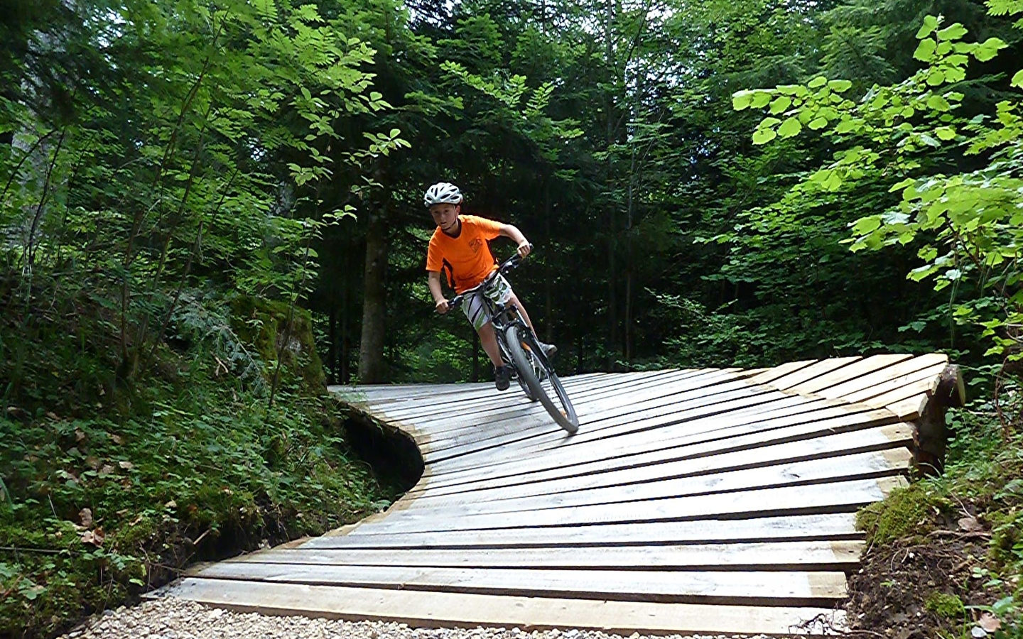 Praktikum Downhill-Mountainbike und DH
