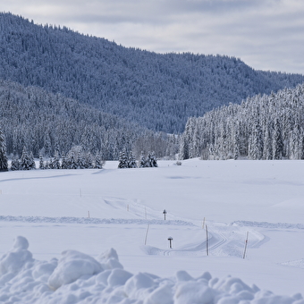Informations touristiques - Mairie de Chapelle des Bois - CHAPELLE-DES-BOIS