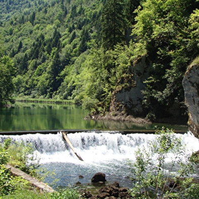 Steinpfad von Vorges