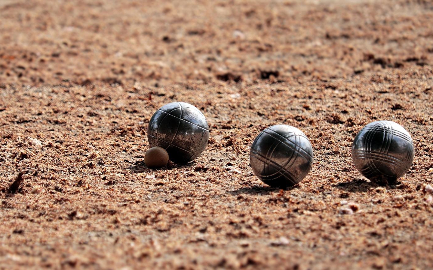 Petanque-Wettbewerb
