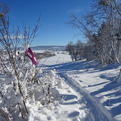 Schneeschuhwanderung