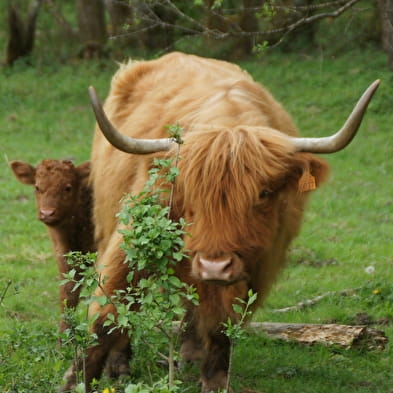 La Ferme du Marais