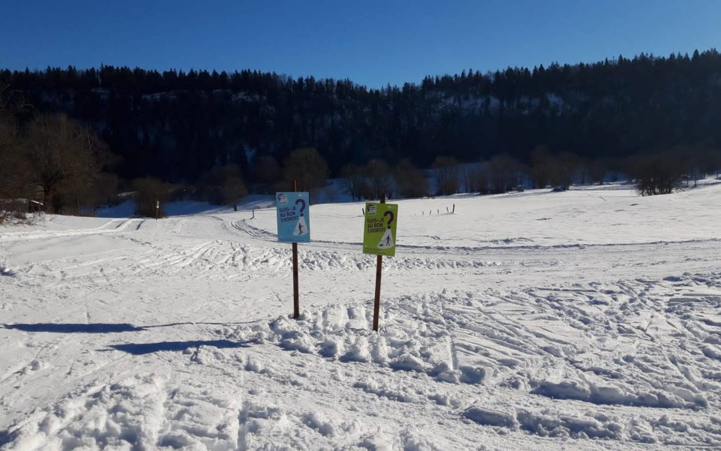Piste jaune de ski nordique - Boucle du Coquiniet