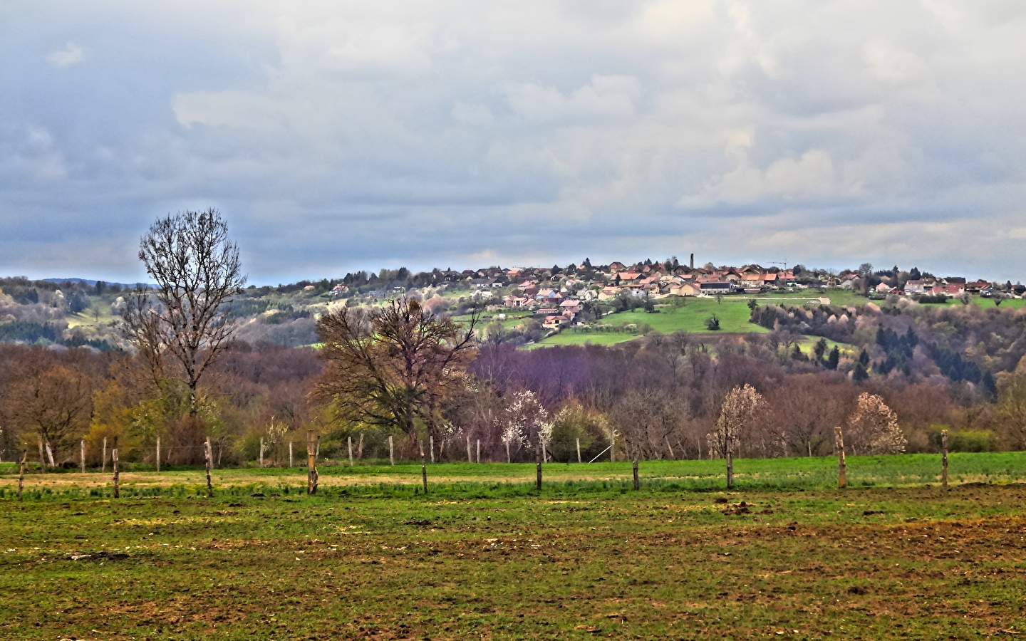 Rundweg durch den Wald von Villars-Sous-Écot Maquis-Denkmal