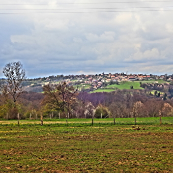 Rundweg durch den Wald von Villars-Sous-Écot Maquis-Denkmal - PONT-DE-ROIDE-VERMONDANS
