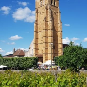 Eglise Saint-Just - ARBOIS