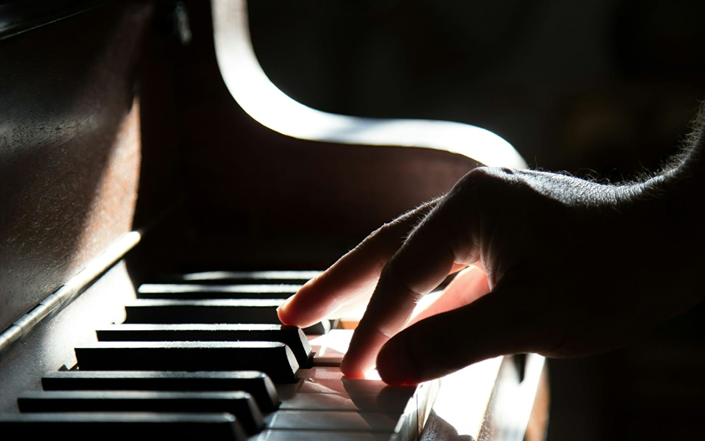 Kammermusik und Klavier solo