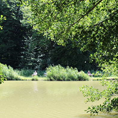 Rundgang durch die Prinzenweiher