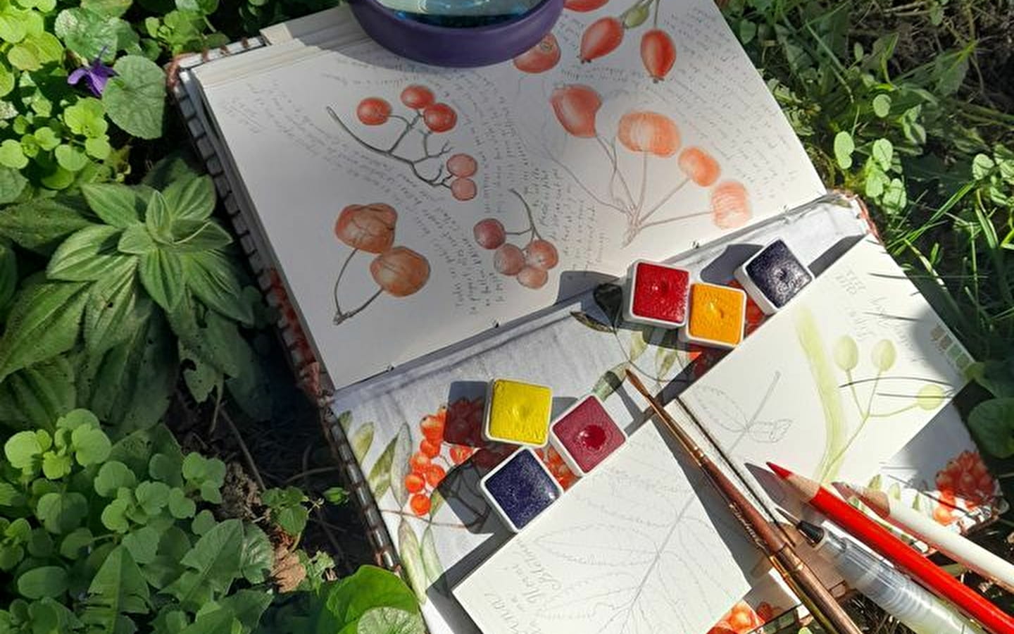 Tag des botanischen Notizbuchs und Zeichnens