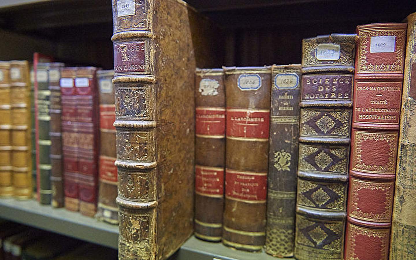 Entdeckung des Erbgutfonds