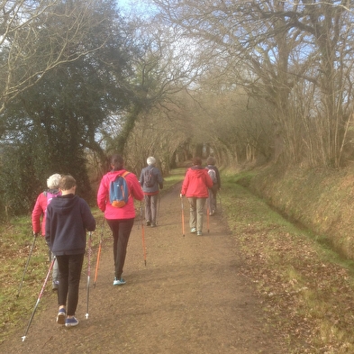 Nordic Walking