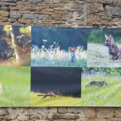 Exposition Photo Nature - parcours extérieur