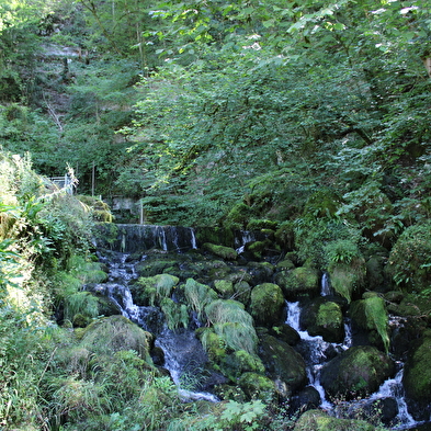 Rundgang durch die Moulin de la Doue